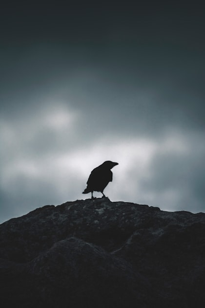 Latest Updates on Crow Maiden